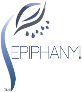 Epiphany Shower U.S. - Digital Optimizer Logo